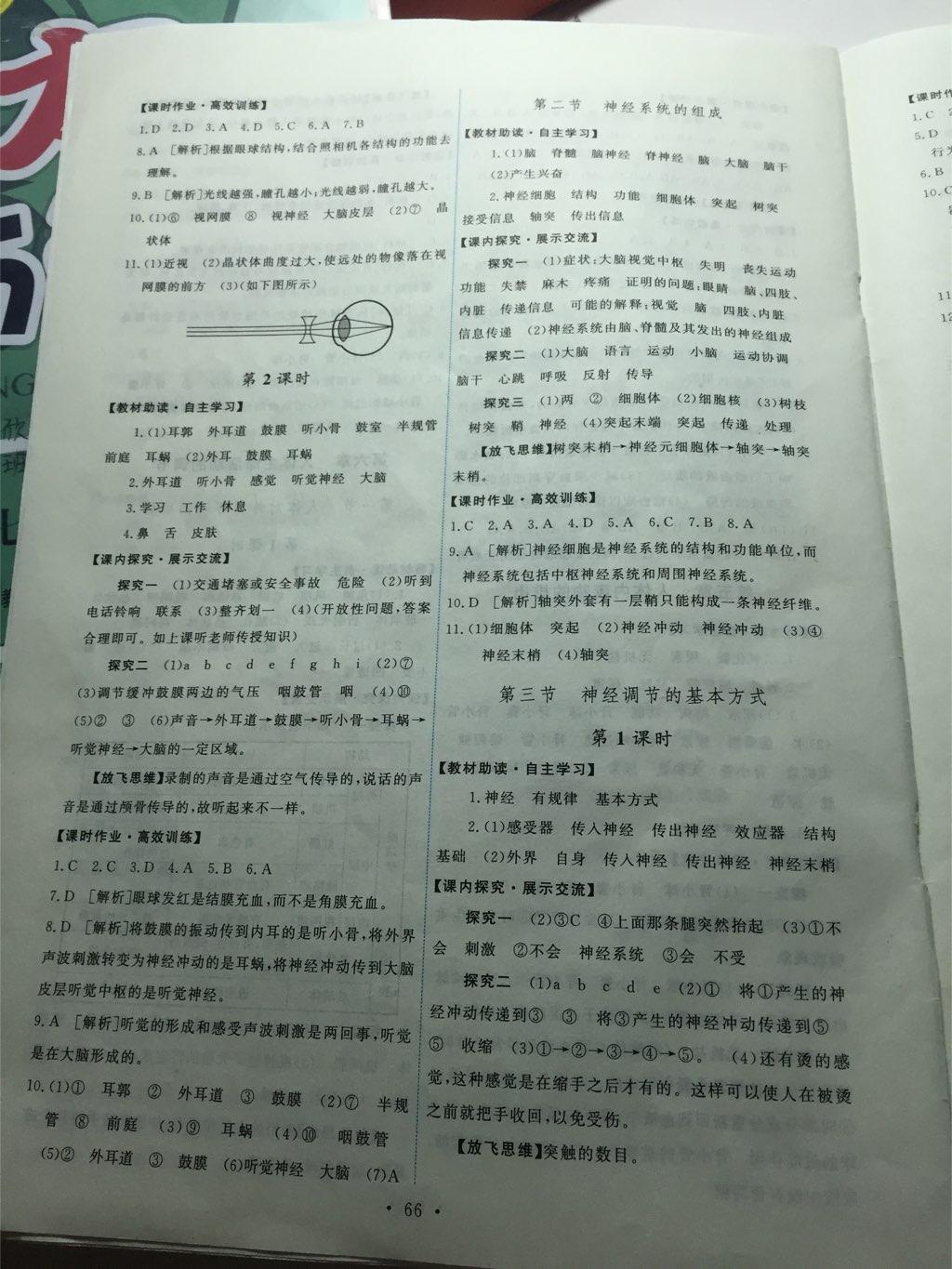 2015年能力培養(yǎng)與測試七年級生物學(xué)下冊人教版 第20頁