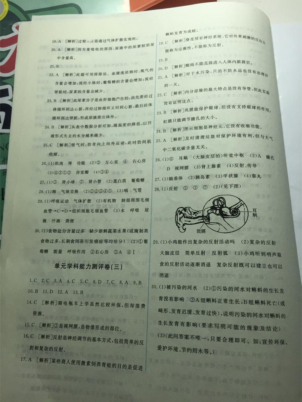 2015年能力培養(yǎng)與測試七年級生物學(xué)下冊人教版 第24頁