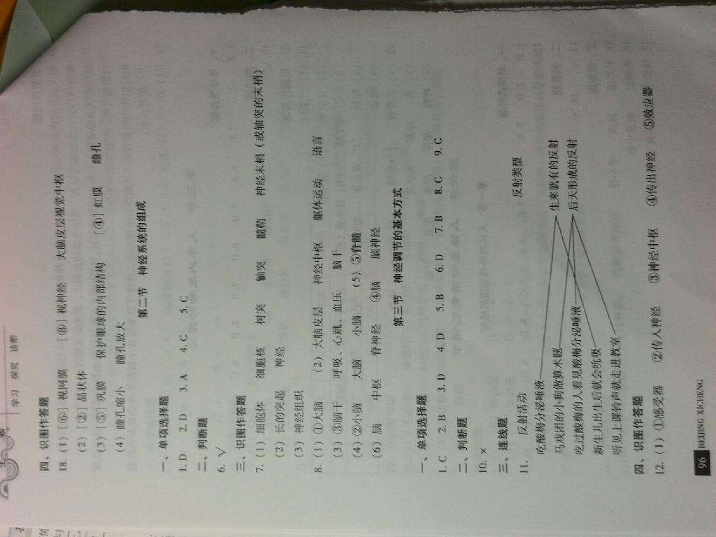 2015年學(xué)習(xí)探究診斷七年級(jí)生物下冊(cè) 第23頁