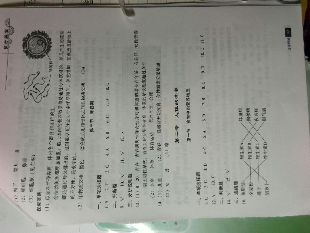 2015年學(xué)習(xí)探究診斷七年級生物下冊 第16頁