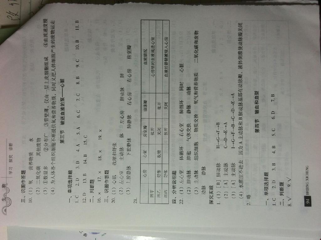 2015年學(xué)習(xí)探究診斷七年級生物下冊 第21頁