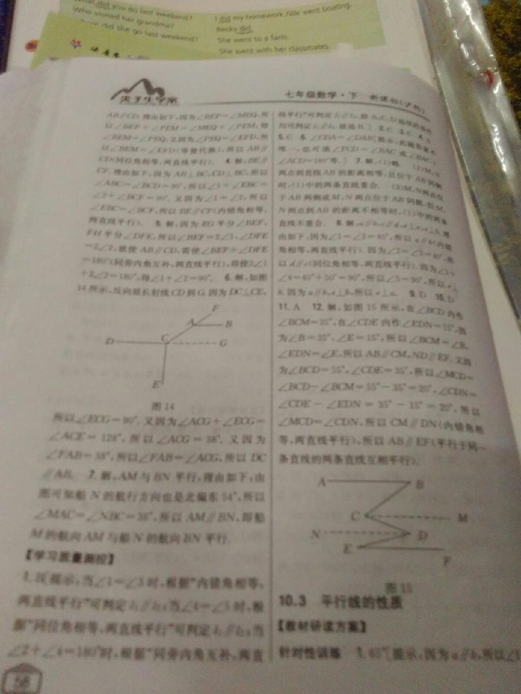 尖子生学案七年级数学沪科版 第26页