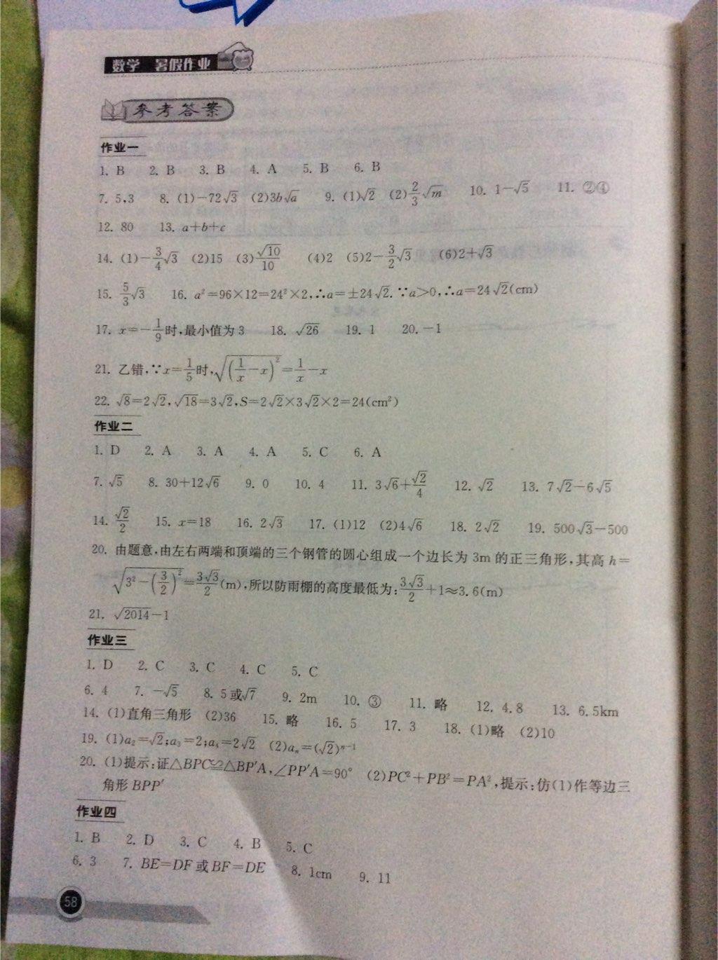 2015年长江作业本暑假作业八年级数学 第46页