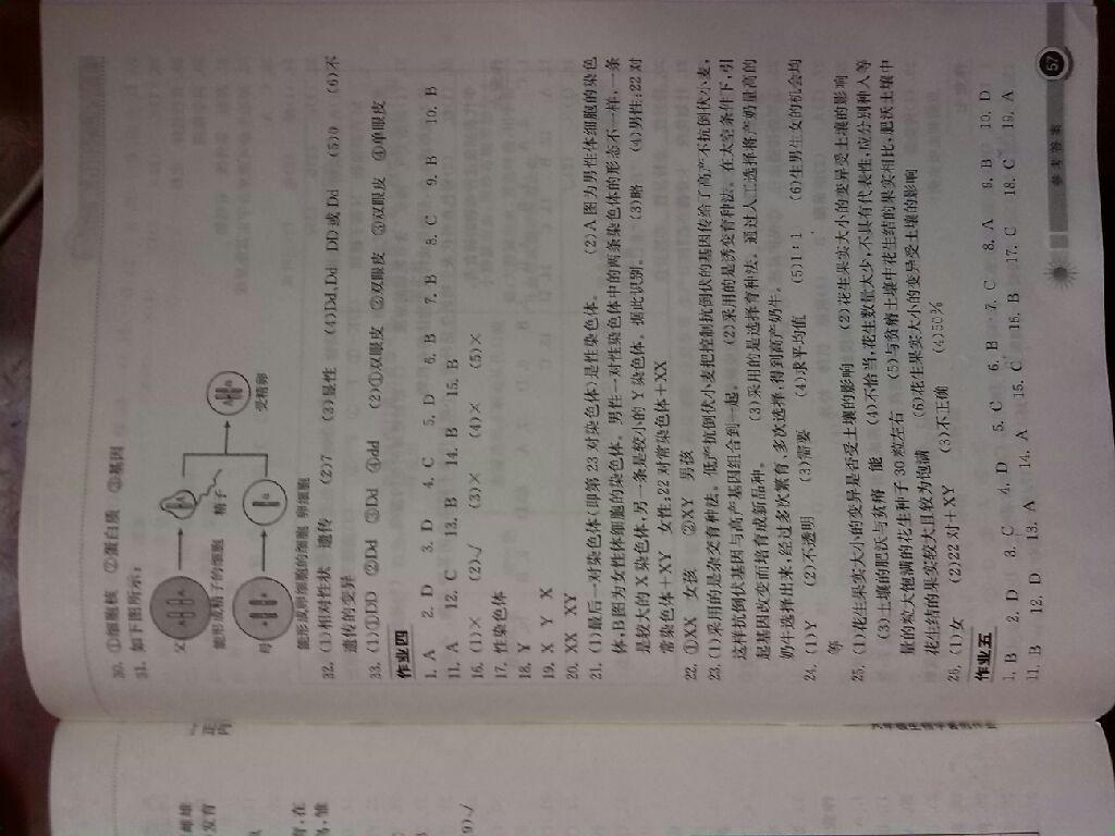 2014年长江作业本暑假作业八年级生物学 第21页