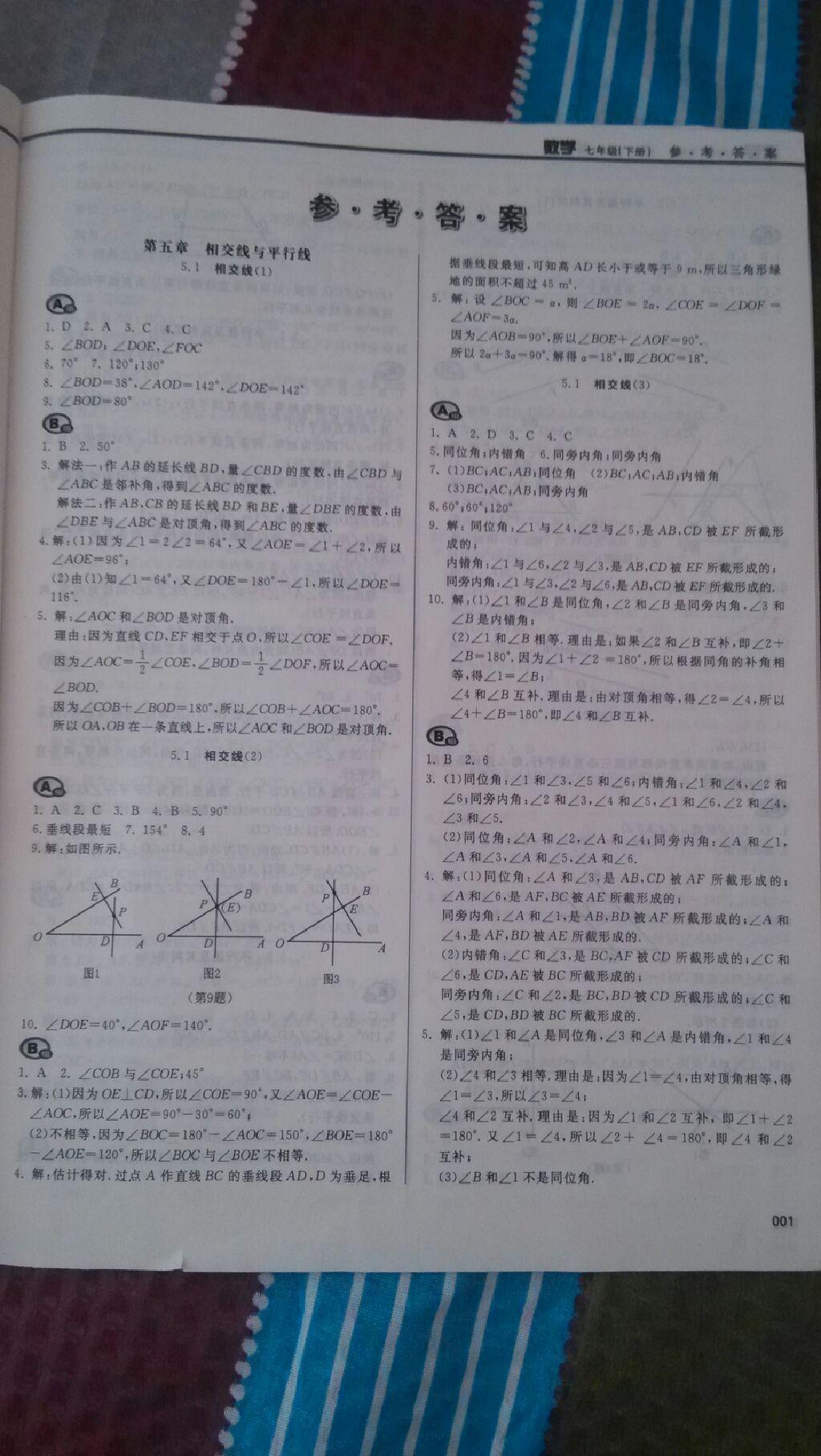 2015年学习质量监测七年级数学下册人教版 第97页