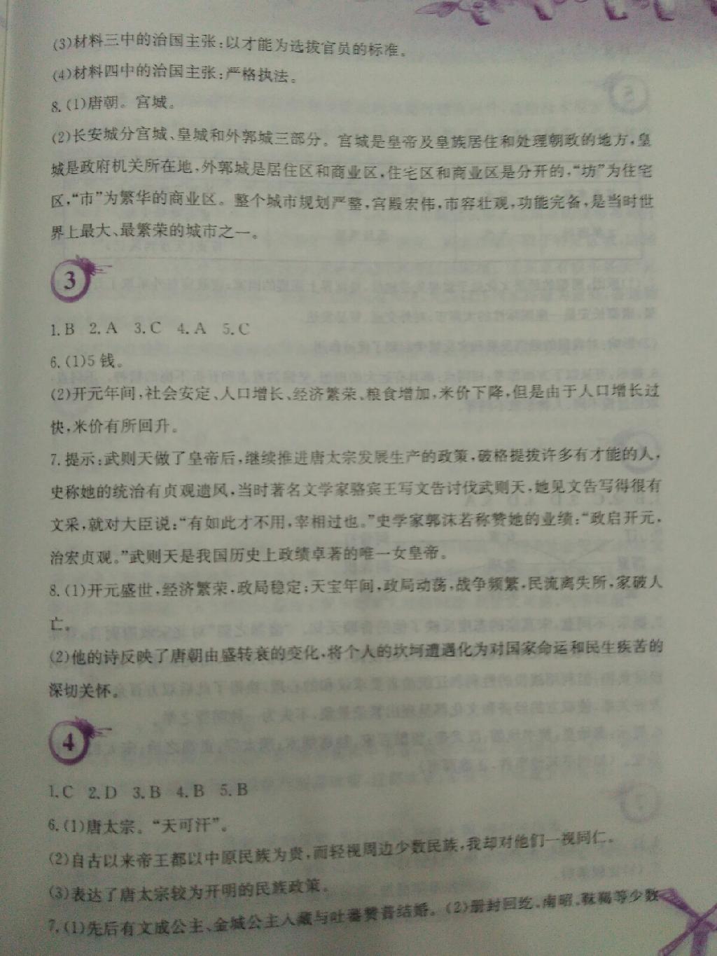 2015年暑假作業(yè)七年級歷史北師大版安徽教育出版社 第2頁