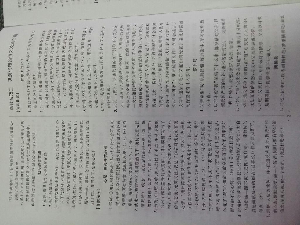 2015年智慧阅读现代文优化训练八年级 第2页