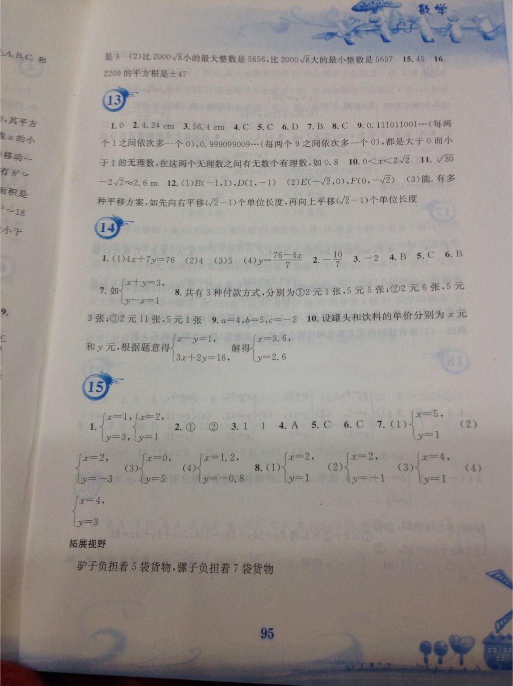 2015年暑假作业七年级数学人教版安徽教育出版社 第31页