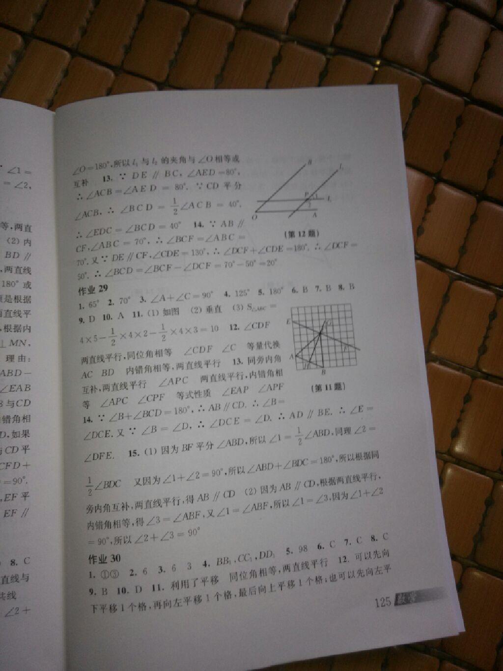 2015年数学暑假作业七年级沪科版 第10页