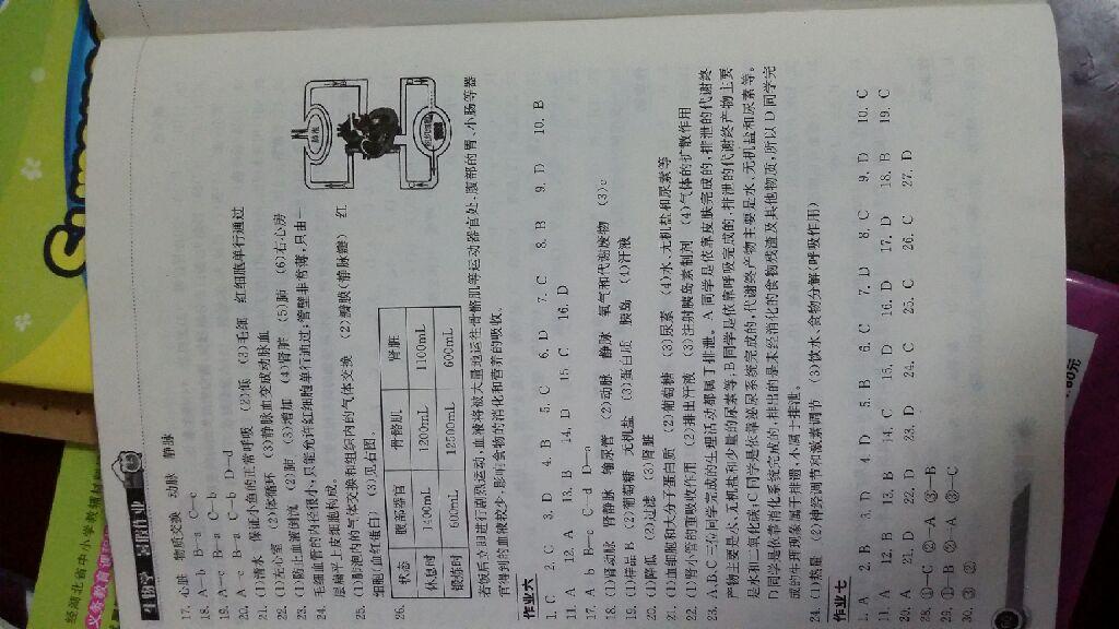 2015年暑假作业七年级地理长江出版社 第12页