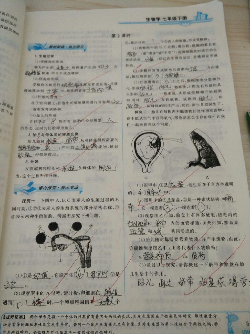 2015年能力培養(yǎng)與測(cè)試七年級(jí)生物學(xué)下冊(cè)人教版 第29頁(yè)