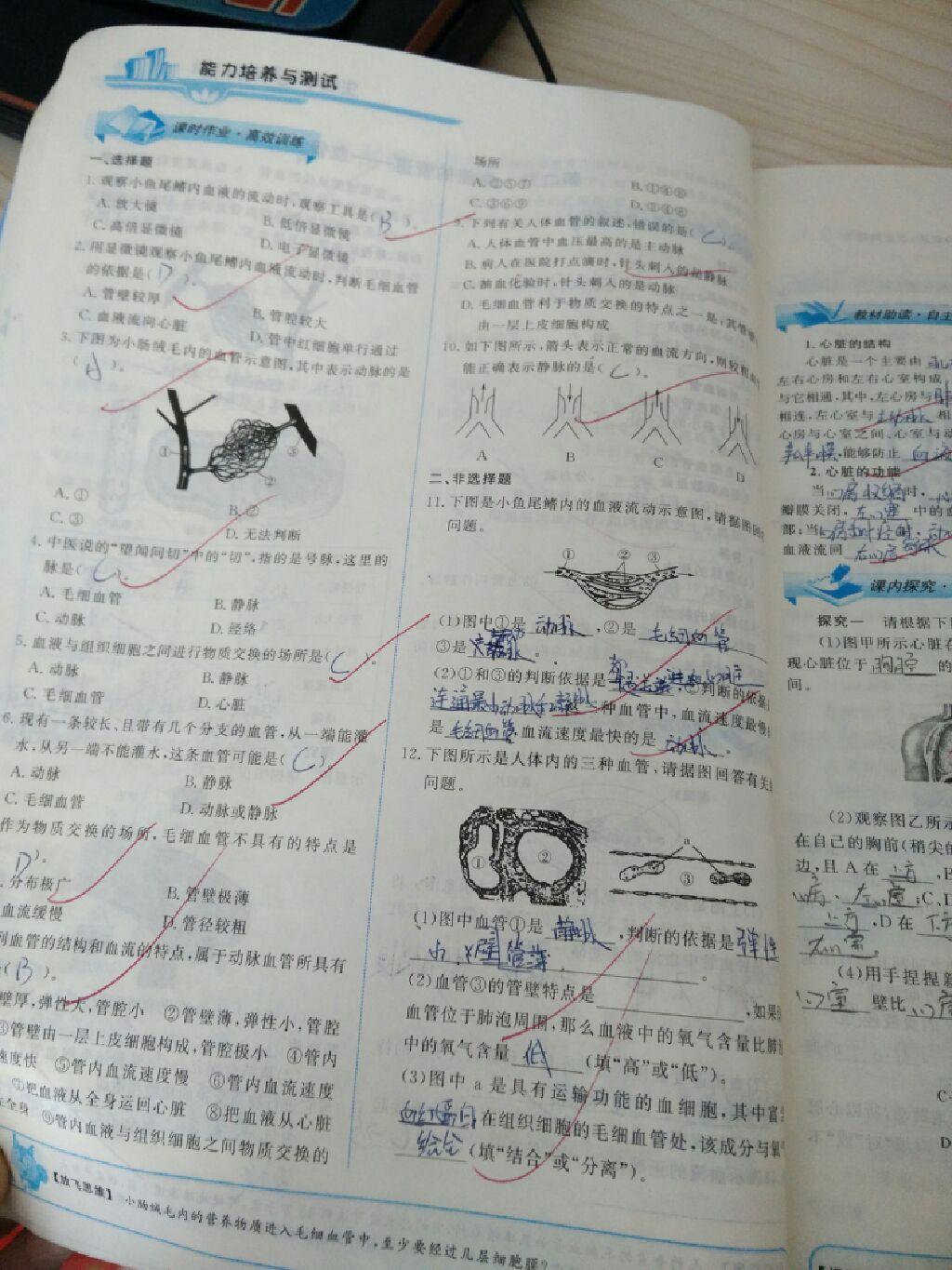 2015年能力培養(yǎng)與測試七年級生物學下冊人教版 第50頁