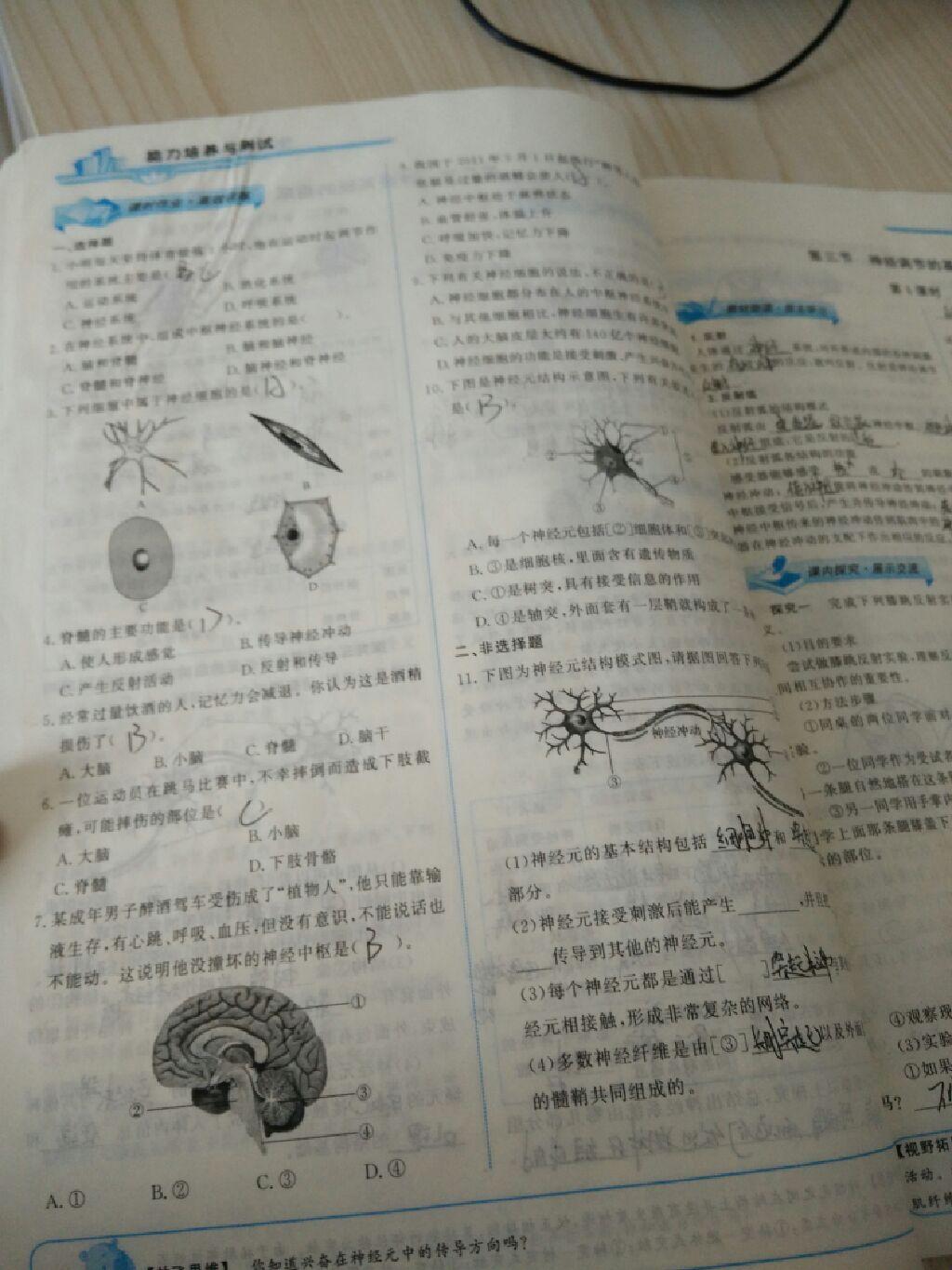 2015年能力培養(yǎng)與測試七年級生物學(xué)下冊人教版 第65頁