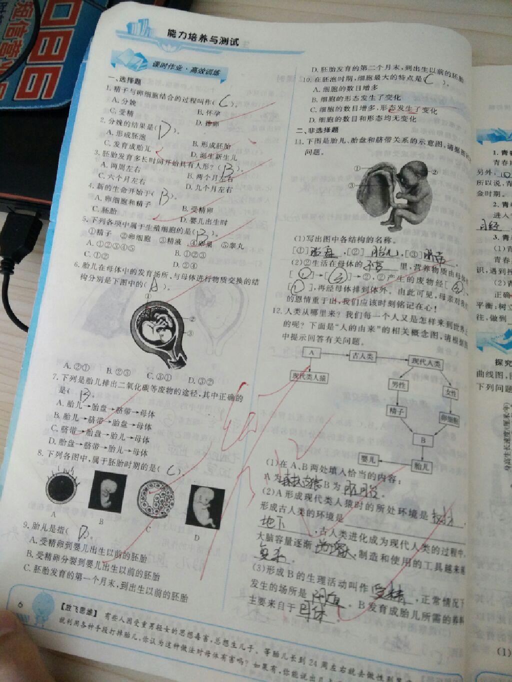 2015年能力培養(yǎng)與測試七年級生物學下冊人教版 第30頁