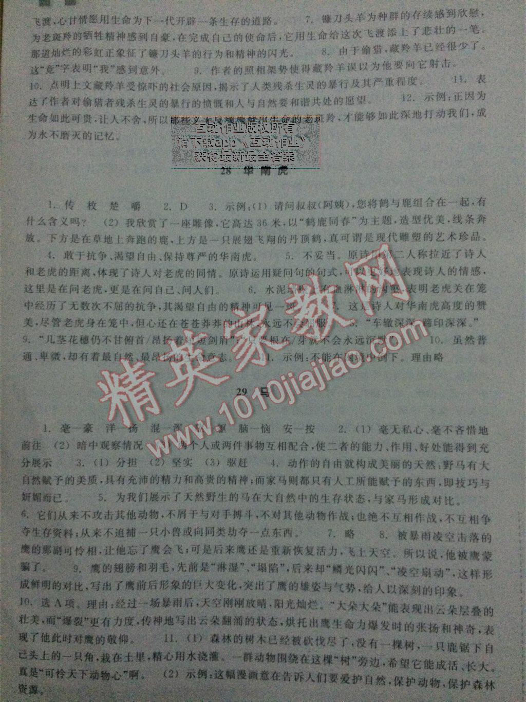 2014年作業(yè)本七年級(jí)語(yǔ)文下冊(cè)人教版浙江教育出版社 第14頁(yè)