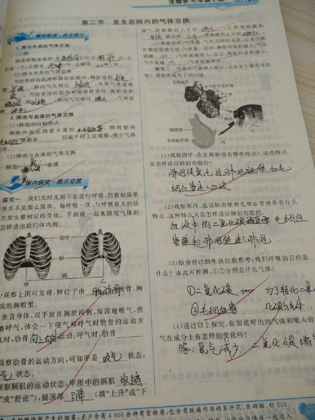 2015年能力培養(yǎng)與測(cè)試七年級(jí)生物學(xué)下冊(cè)人教版 第45頁(yè)