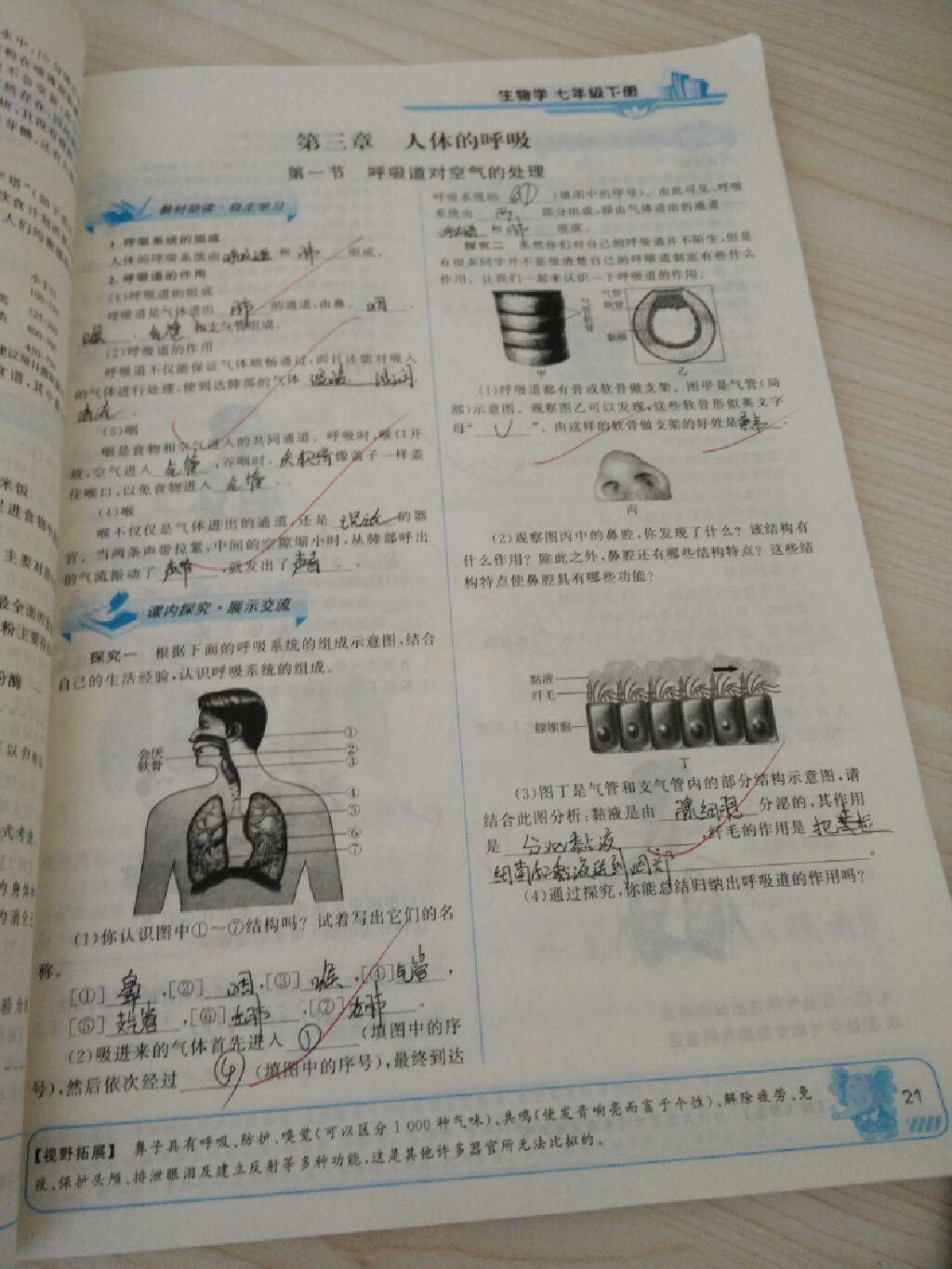 2015年能力培養(yǎng)與測試七年級生物學下冊人教版 第43頁