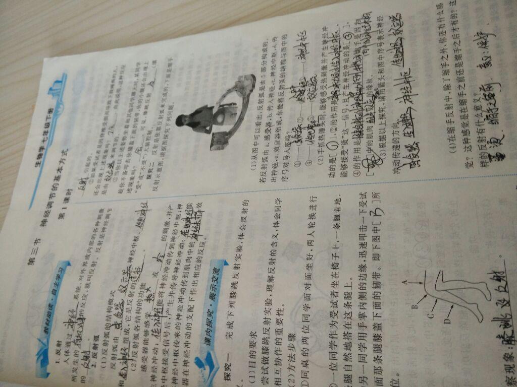 2015年能力培養(yǎng)與測試七年級(jí)生物學(xué)下冊人教版 第66頁