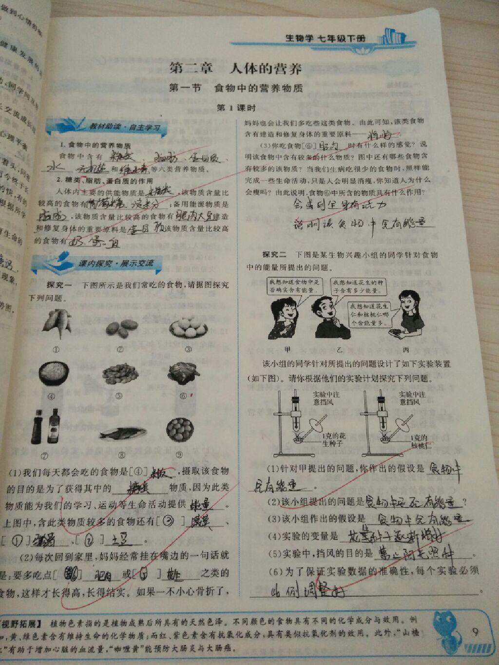 2015年能力培養(yǎng)與測試七年級生物學下冊人教版 第33頁