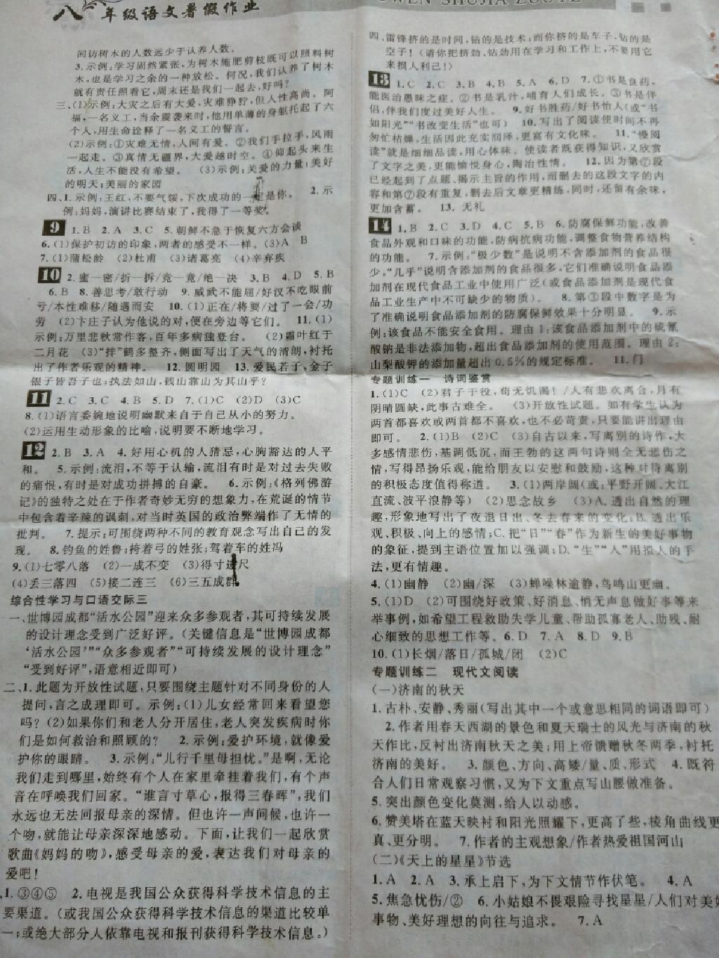 2015年长江暑假作业八年级语文 第24页