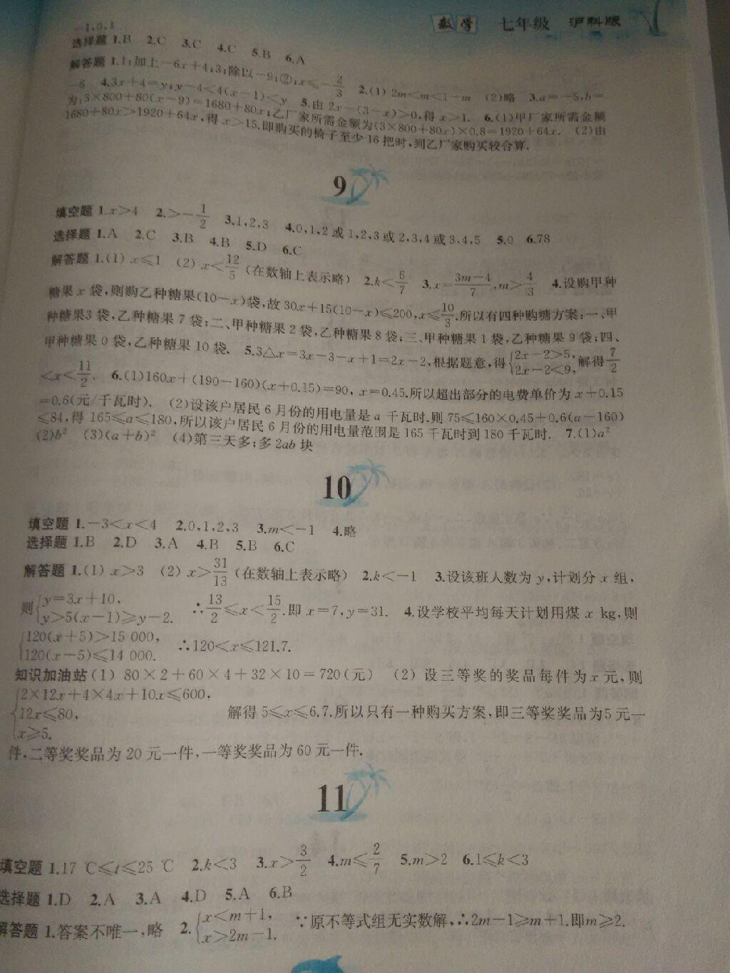 2015年暑假作业七年级数学沪科版黄山书社 第11页