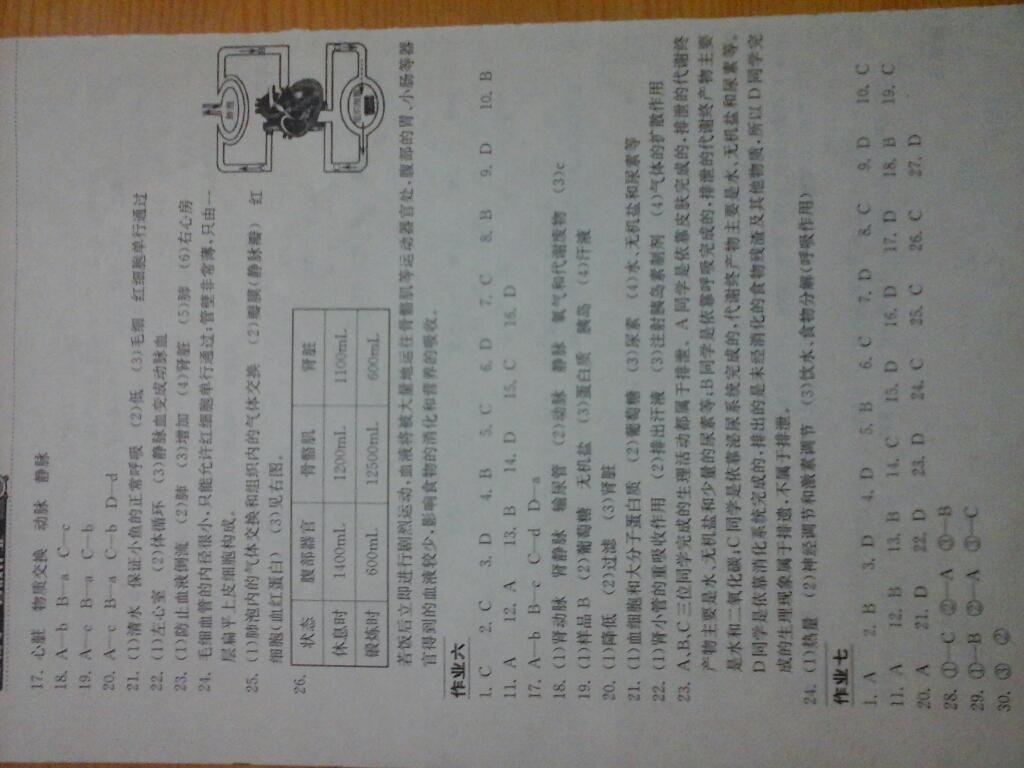 2015年长江作业本暑假作业七年级生物学 第7页