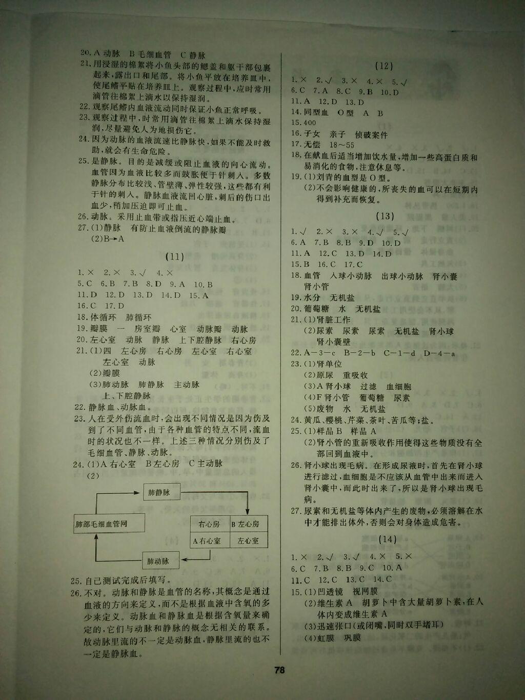 2015年試題優(yōu)化課堂同步七年級生物下冊人教版 第13頁