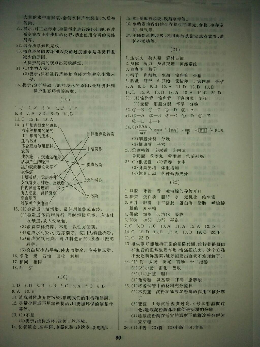 2015年試題優(yōu)化課堂同步七年級生物下冊人教版 第15頁