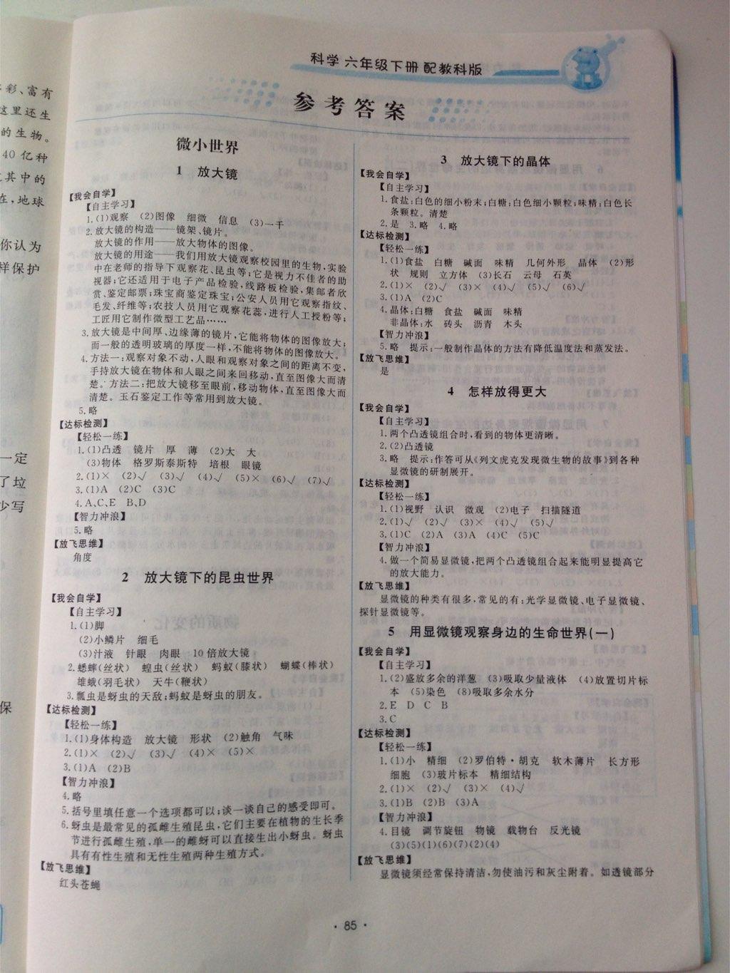 2015年能力培养与测试六年级科学下册教科版 第1页