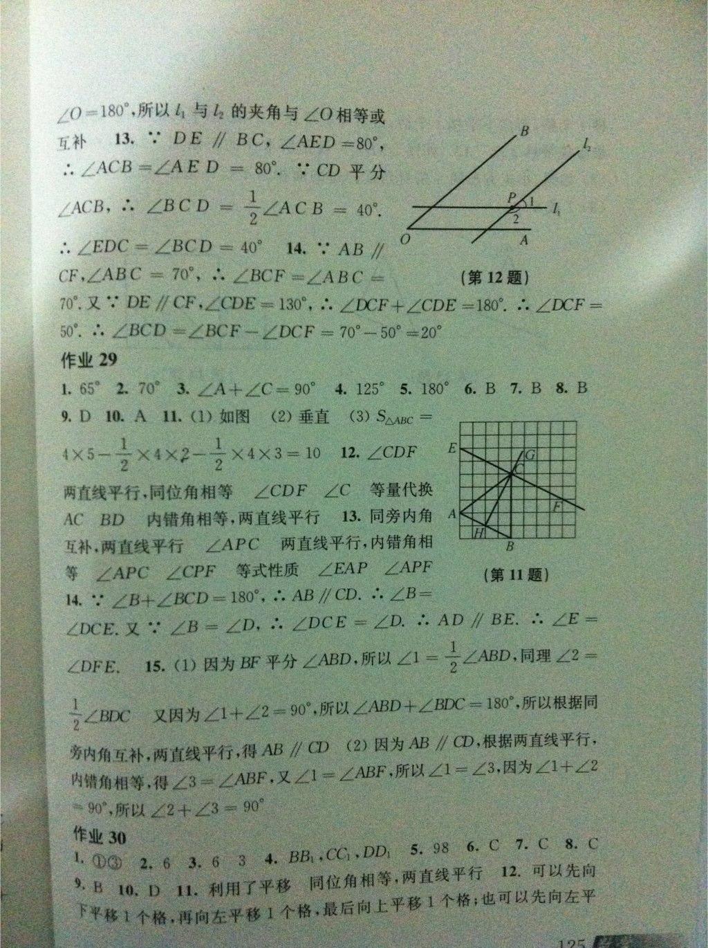 2015年数学暑假作业七年级沪科版上海科学技术出版社 第43页