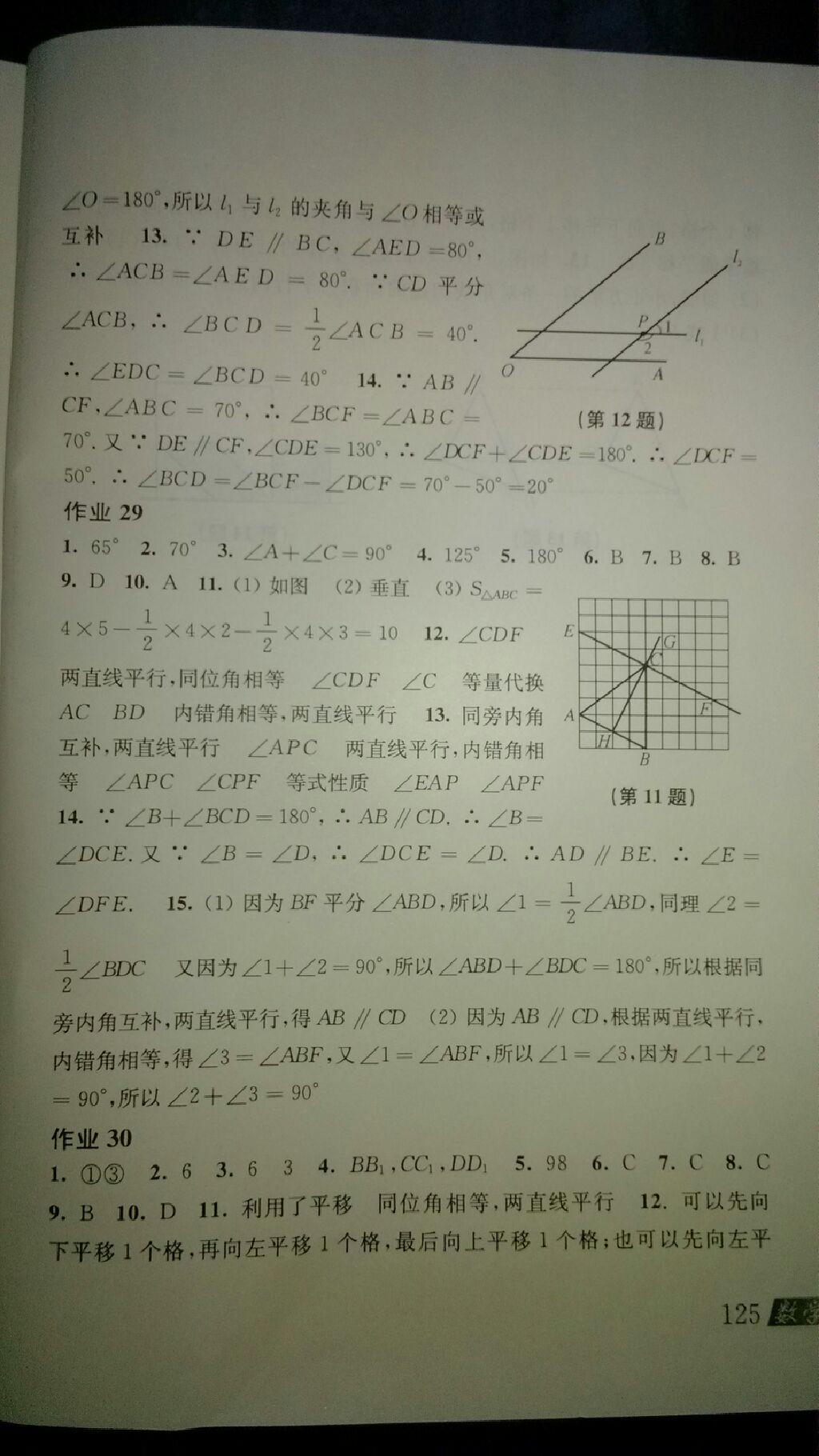 2015年数学暑假作业七年级沪科版上海科学技术出版社 第21页