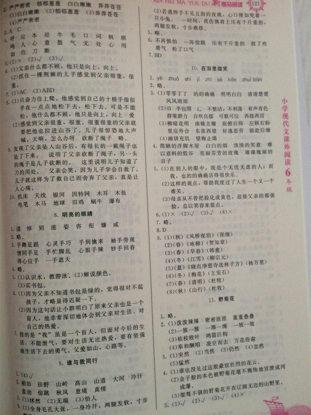 新黑马阅读现代文课外阅读小学六年级 第2页