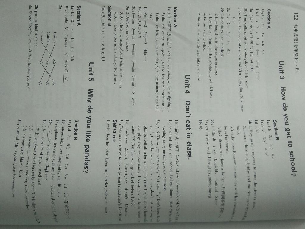 2014年5年中考3年模擬初中英語(yǔ)七年級(jí)下冊(cè)人教版 第43頁(yè)