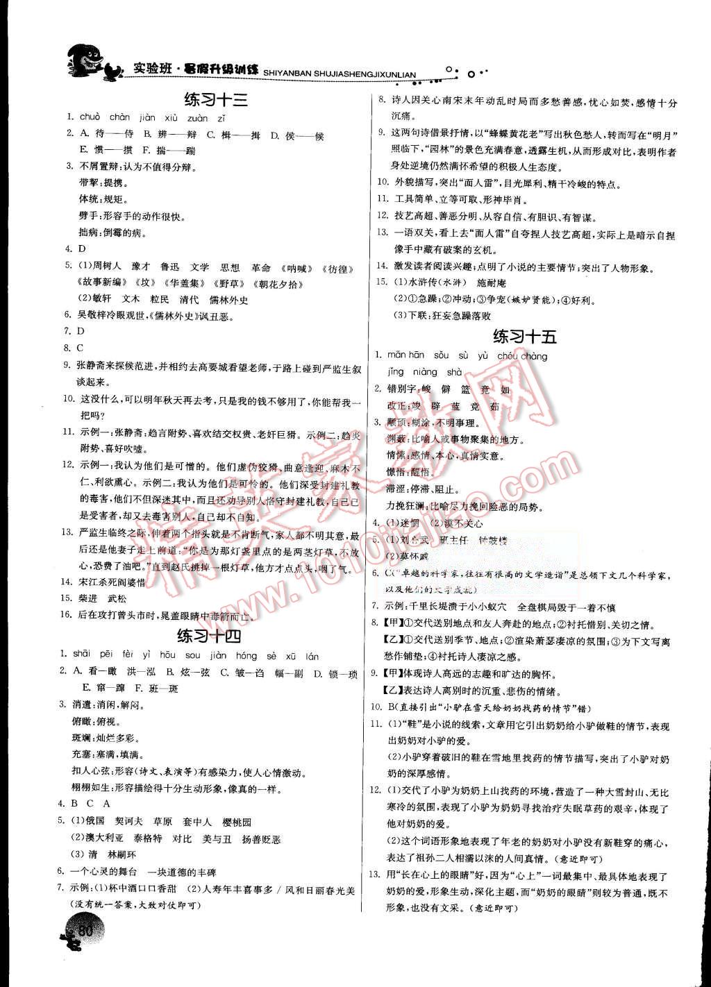 2015年實(shí)驗(yàn)班提優(yōu)訓(xùn)練暑假銜接版八升九年級(jí)語文蘇教版 第6頁