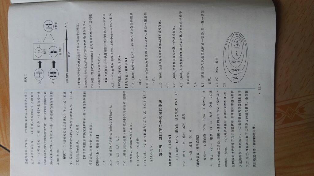 2015年能力培養(yǎng)與測(cè)試八年級(jí)生物學(xué)下冊(cè)人教版 第4頁(yè)