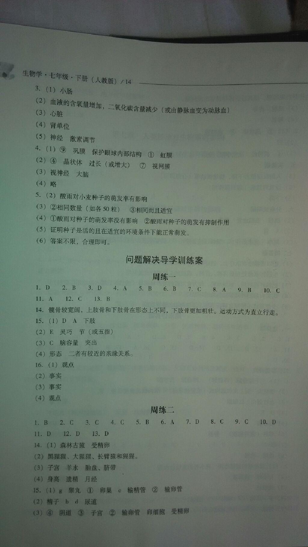 2014年新課程問題解決導(dǎo)學(xué)方案七年級生物學(xué)下冊人教版 第13頁