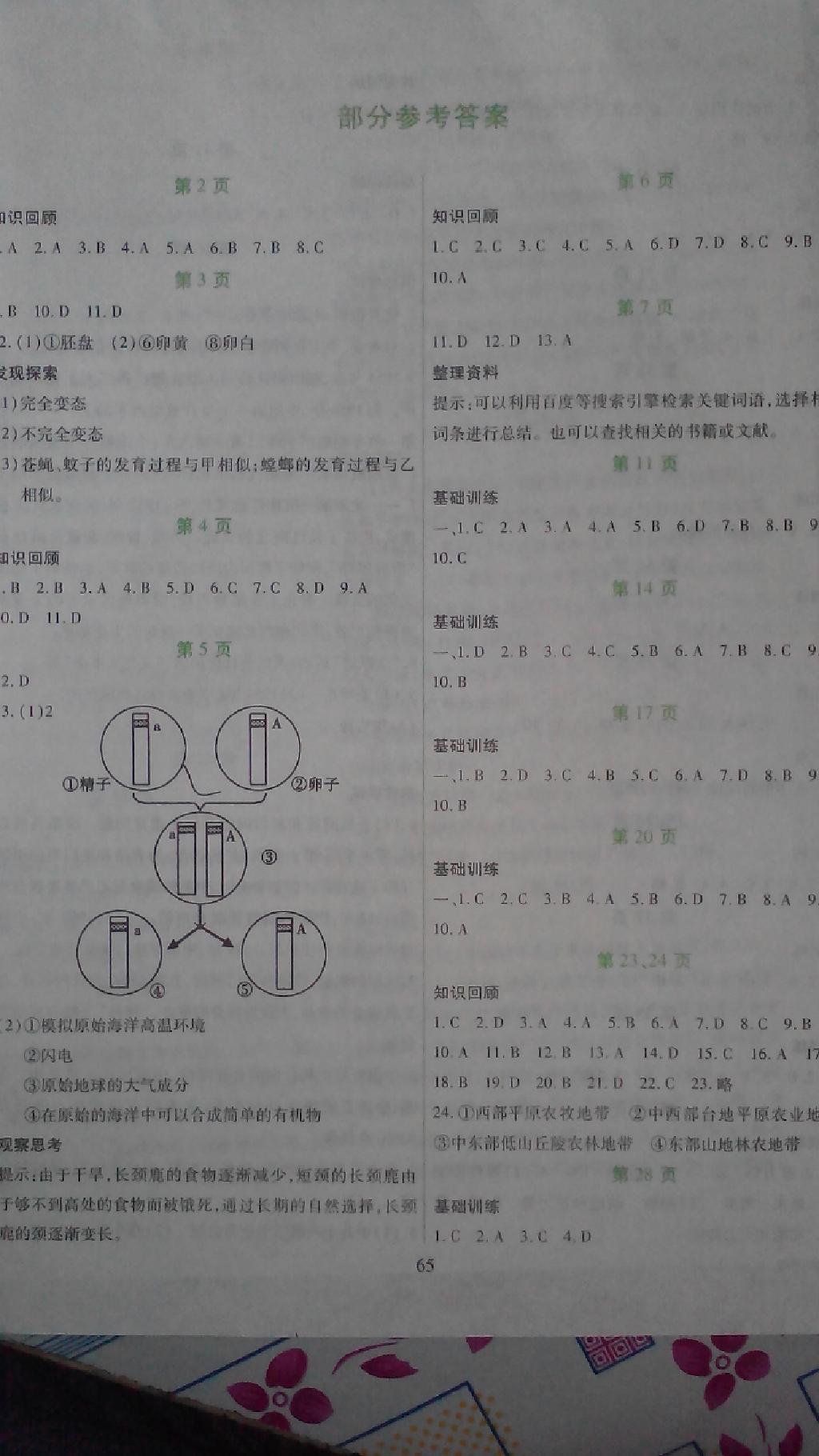 2015年假日綜合暑假用書(shū)八年級(jí) 第5頁(yè)