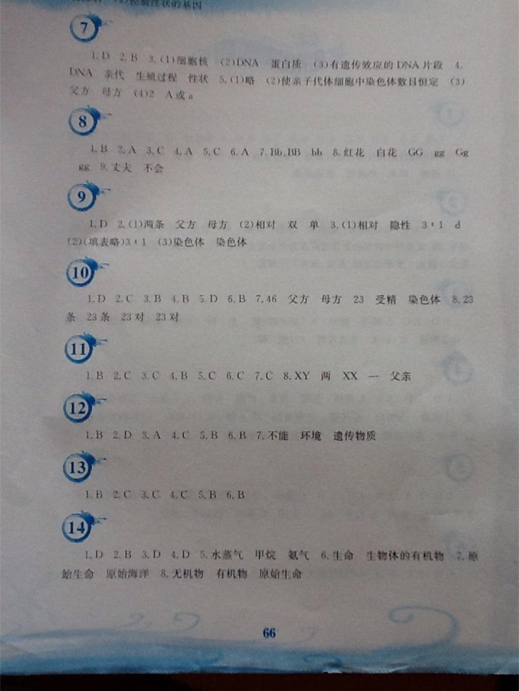 2015年暑假作业八年级生物学人教版安徽教育出版社 第10页