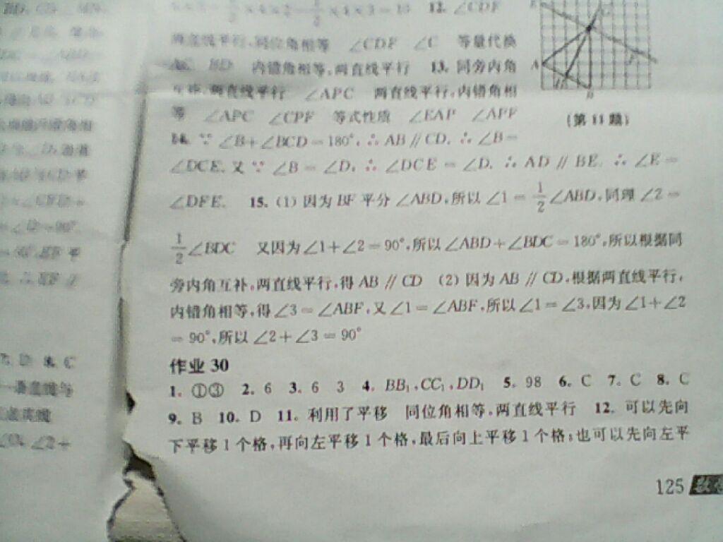 2015年数学暑假作业七年级沪科版 第31页