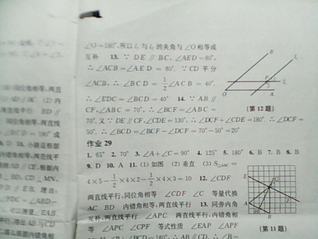 2015年数学暑假作业七年级沪科版 第30页