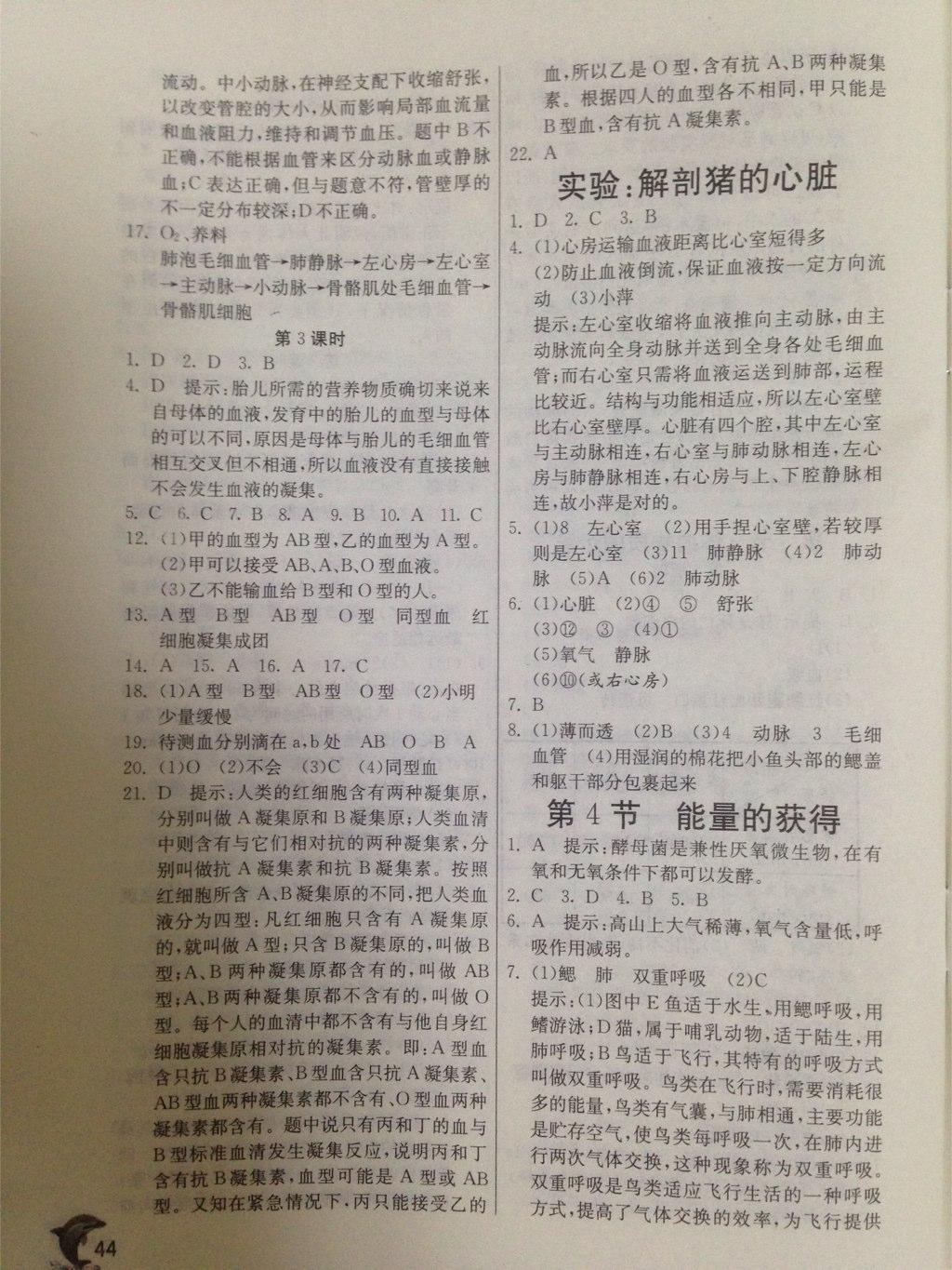 實驗班提優(yōu)訓(xùn)練九年級科學(xué)上冊浙教版 第44頁