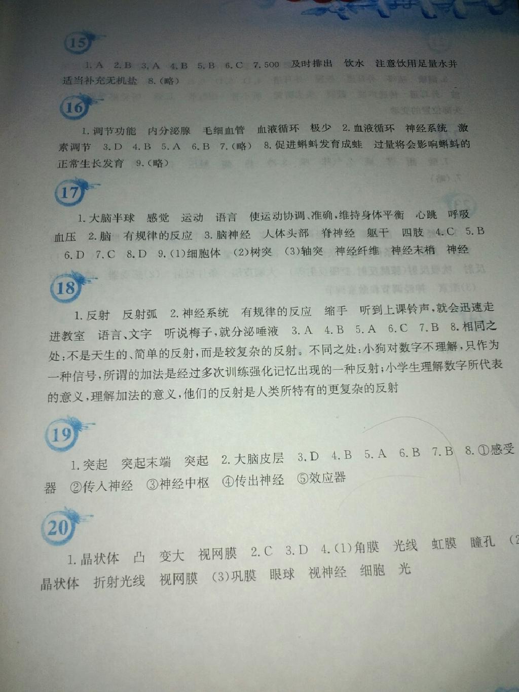 2015年暑假作业七年级生物学苏教版安徽教育出版社 第7页