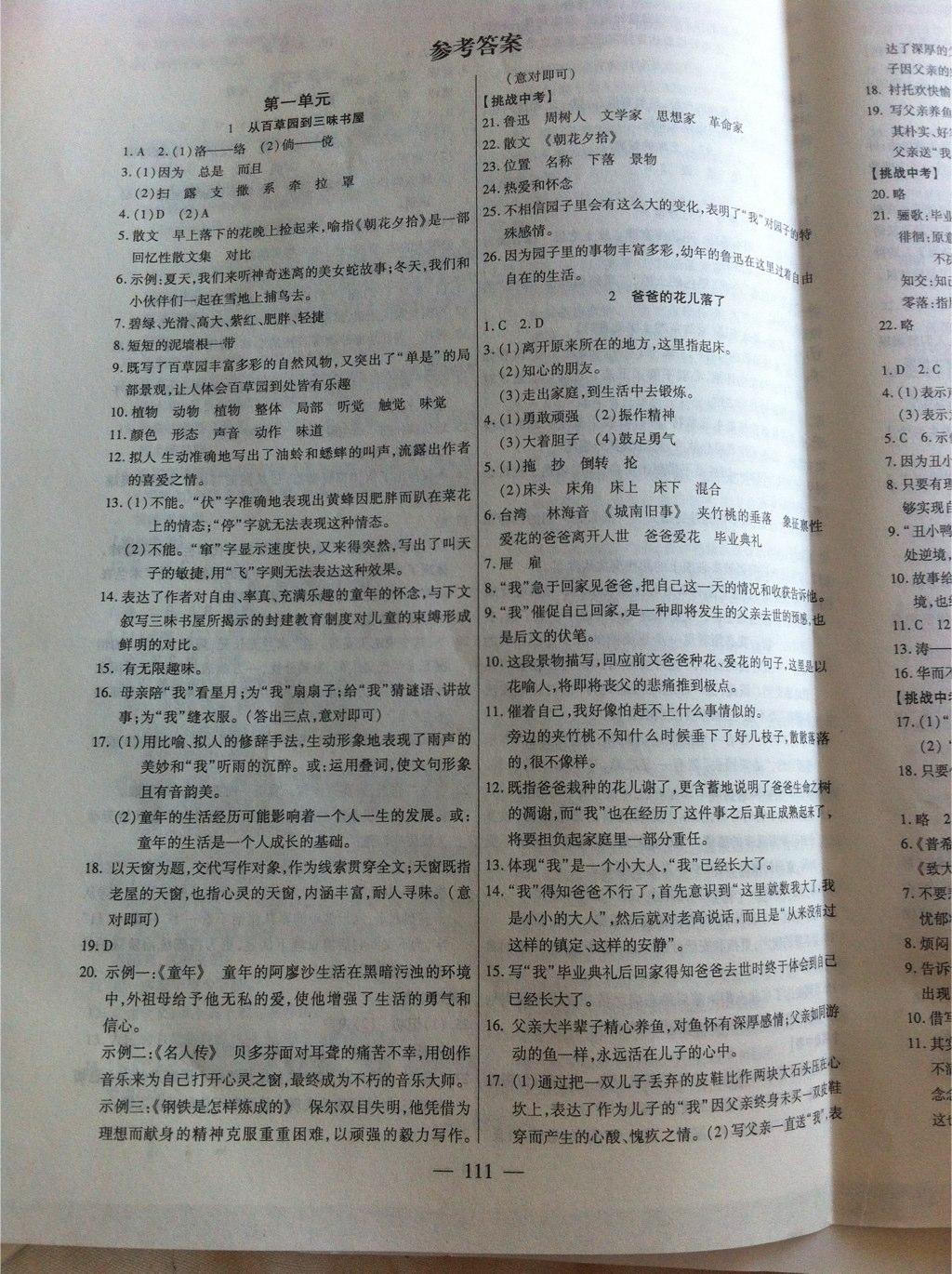 2015年名師導(dǎo)學(xué)七年級(jí)語(yǔ)文下冊(cè)人教版 第17頁(yè)