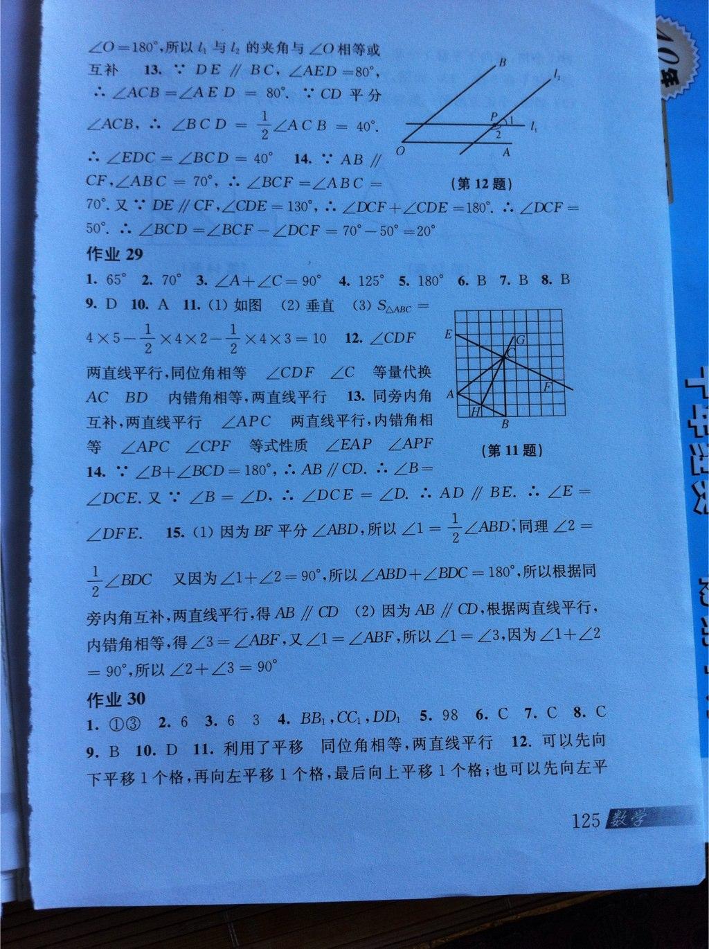 2015年数学暑假作业七年级沪科版上海科学技术出版社 第10页