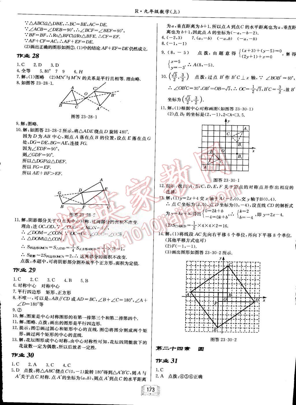 2015年啟東中學(xué)作業(yè)本九年級(jí)數(shù)學(xué)上冊(cè)人教版 第13頁