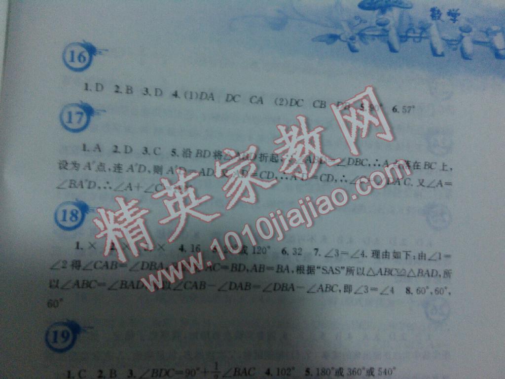 2015年暑假作业七年级数学北师大版安徽教育出版社 第8页