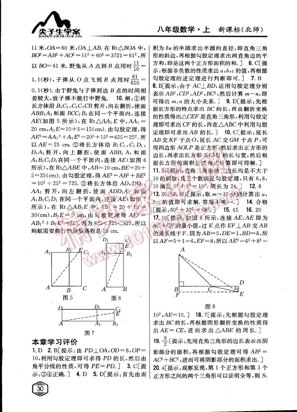 2015年尖子生學(xué)案八年級(jí)數(shù)學(xué)上冊(cè)北師大版 第3頁(yè)