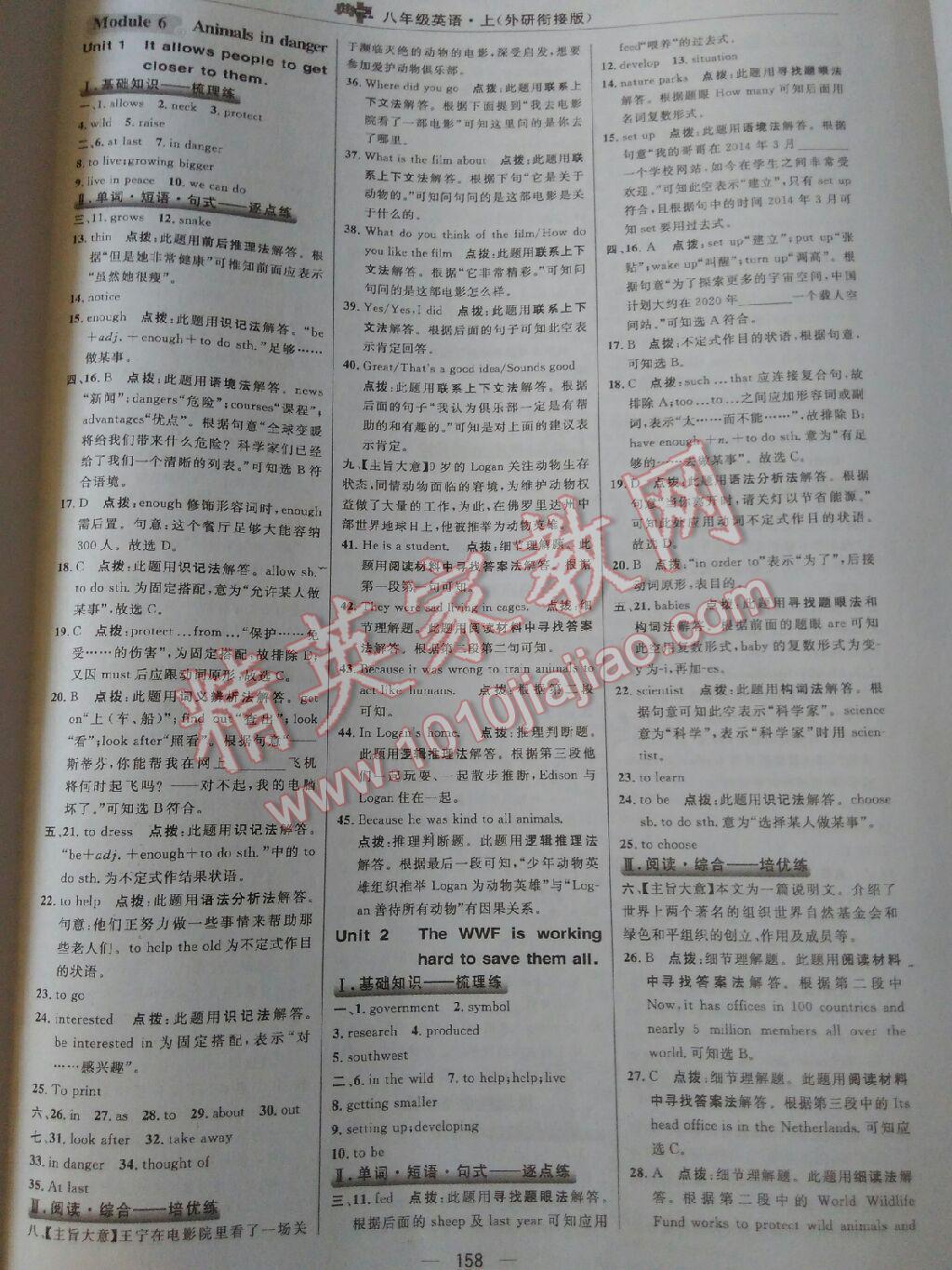 綜合應用創(chuàng)新題典中點八年級英語上冊外研銜接版 第28頁