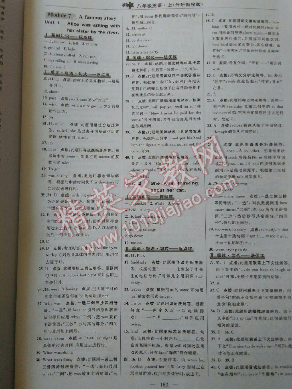 綜合應用創(chuàng)新題典中點八年級英語上冊外研銜接版 第31頁