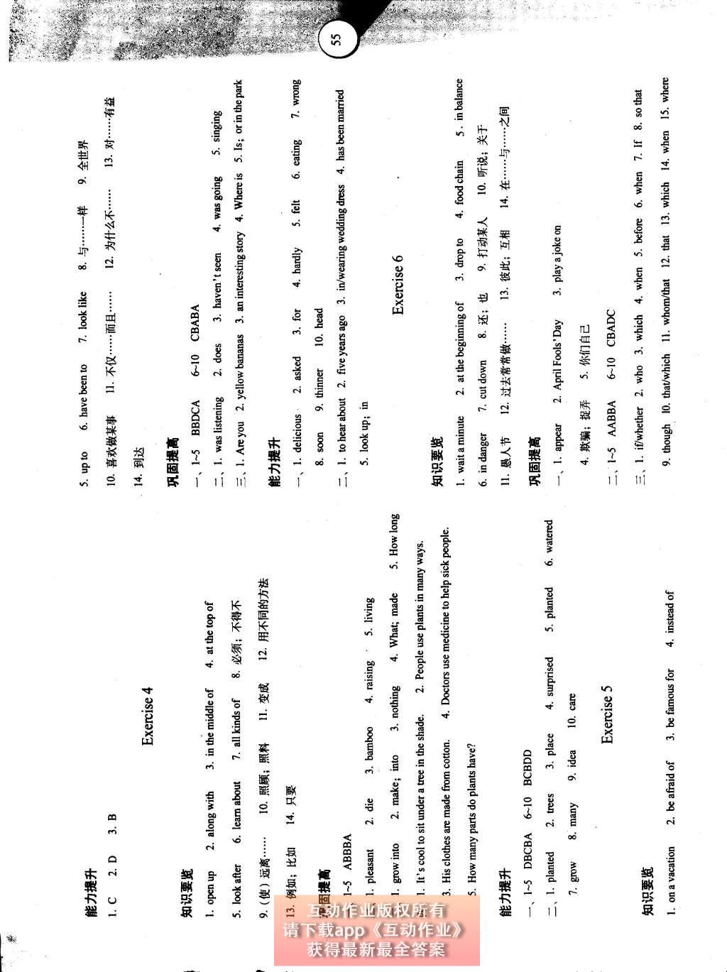 2015年暑假作業(yè)與生活八年級(jí)英語(yǔ)陜西人民教育出版社 參考答案第15頁(yè)